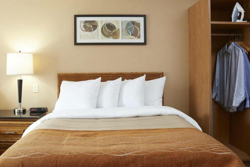 Comfort Inn Пикеринг Экстерьер фото
